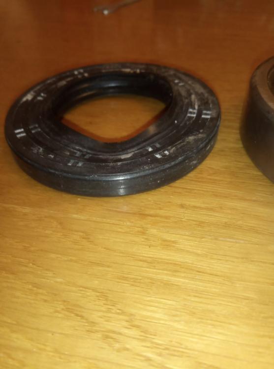 photo_2021-02-17 19.00.36.jpeg