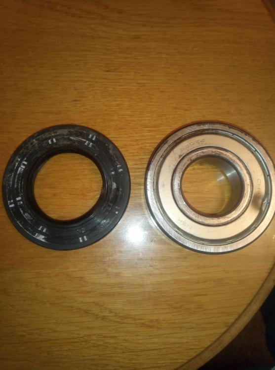 photo_2021-02-17 19.00.33.jpeg