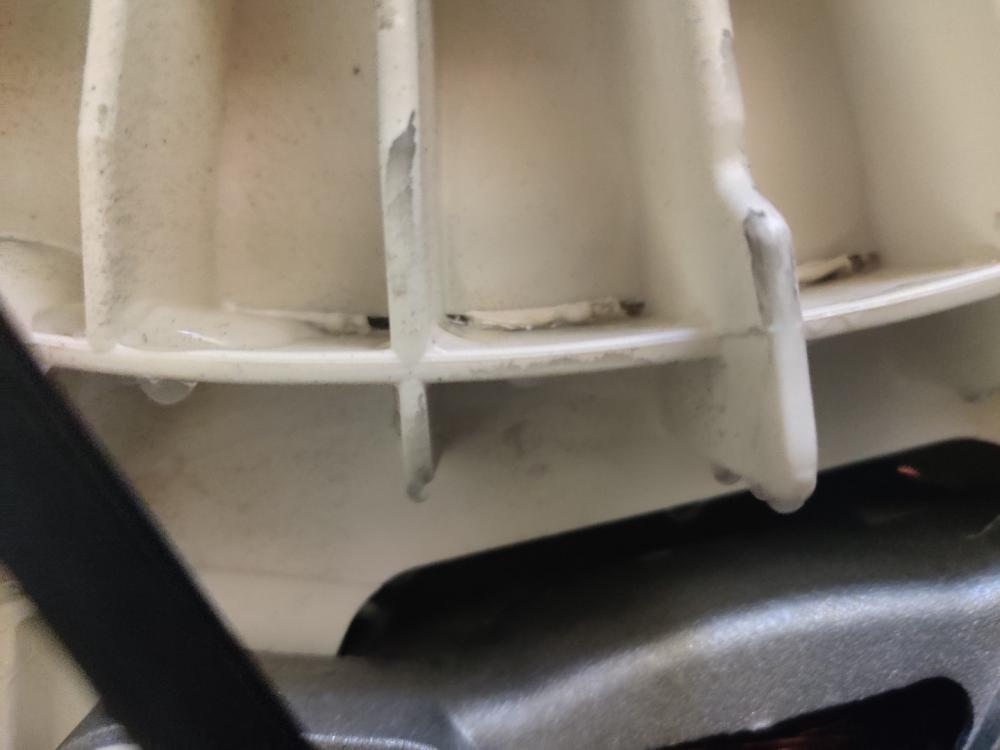 IMG_20210613_212305 (Large).jpg