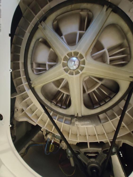 IMG_20210613_213138 (Large).jpg