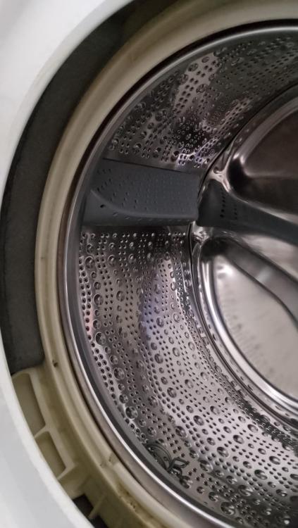 WhatsApp Image 2025-02-09 at 09.05.57.jpeg